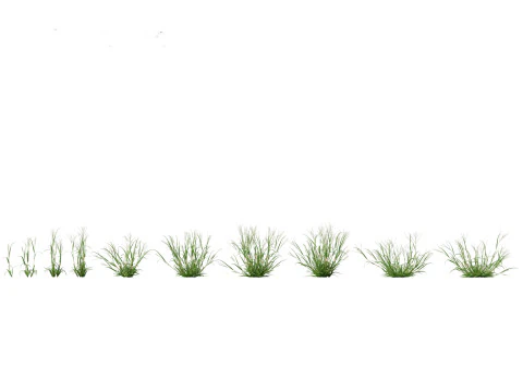 Pacchetto Piante Prateria Prato 34 Modello 3D