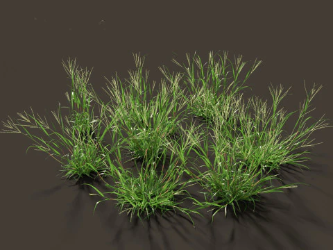 Pacchetto Piante Prateria Prato 34 Modello 3D