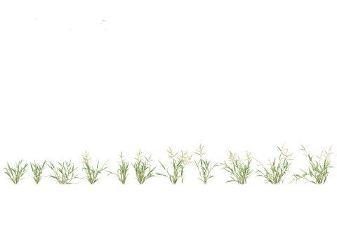 Pacchetto Piante Prateria Prato 34 Modello 3D