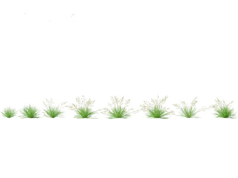 Pacchetto Piante Prateria Prato 34 Modello 3D