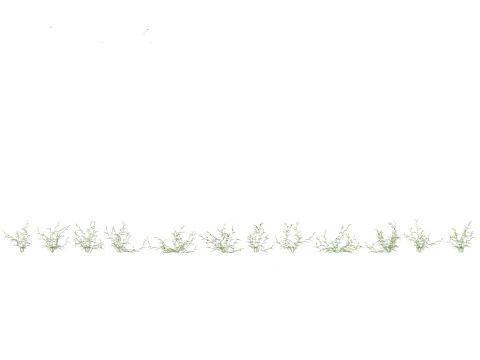 Pacchetto Piante Prateria Prato 34 Modello 3D