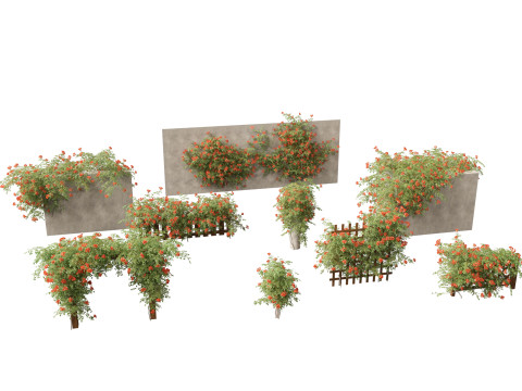 Pacchetto rampicanti esotici 37 Modello 3D