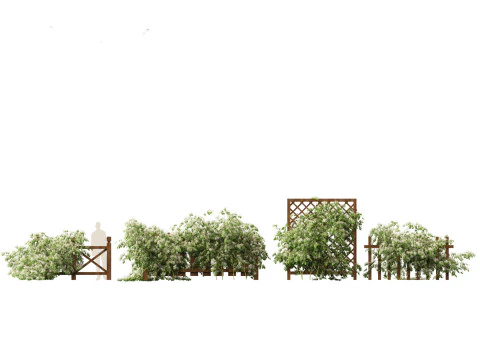 Exotic Vines Climbers Pack 37 3D Model