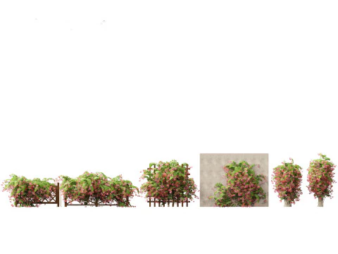 Exotic Vines Climbers Pack 37 3D Model
