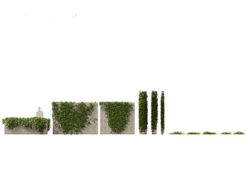 Pacchetto rampicanti esotici 37 Modello 3D