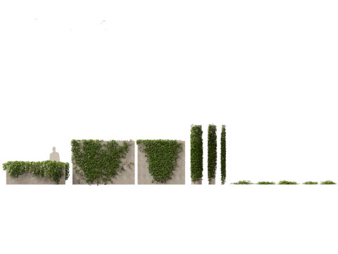 Exotic Vines Climbers Pack 37 3D Model