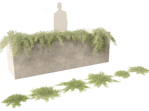 Pacchetto rampicanti esotici 37 Modello 3D