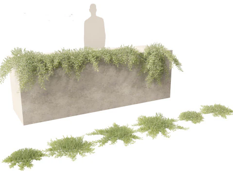 Exotic Vines Climbers Pack 37 3D Model