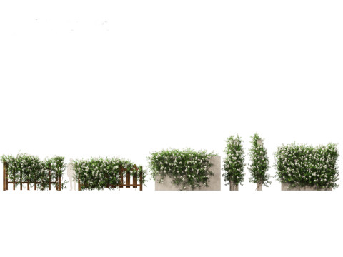 Pacchetto rampicanti esotici 37 Modello 3D