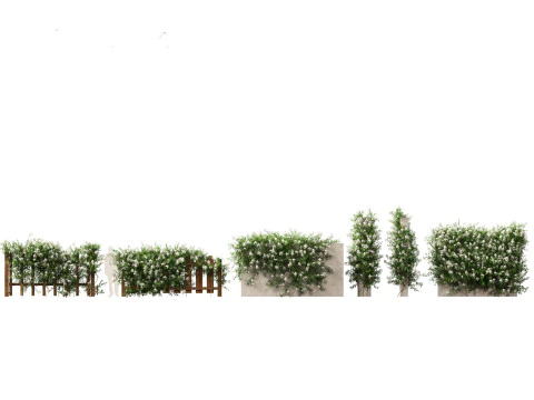 Exotic Vines Climbers Pack 37 3D Model