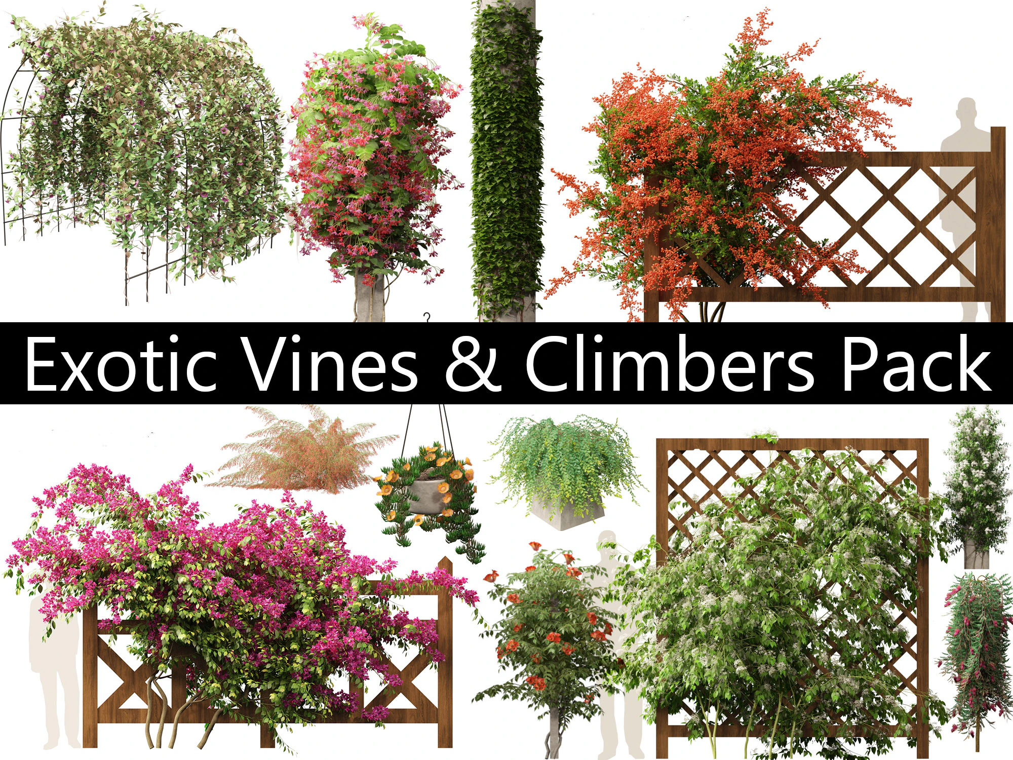Exotic Vines Climbers Pack 37 3D Model .c4d .max .obj .3ds .fbx .stl .blend 