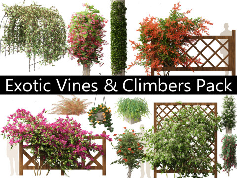 Pacote de trepadeiras de videiras exóticas 37 Modelo 3D