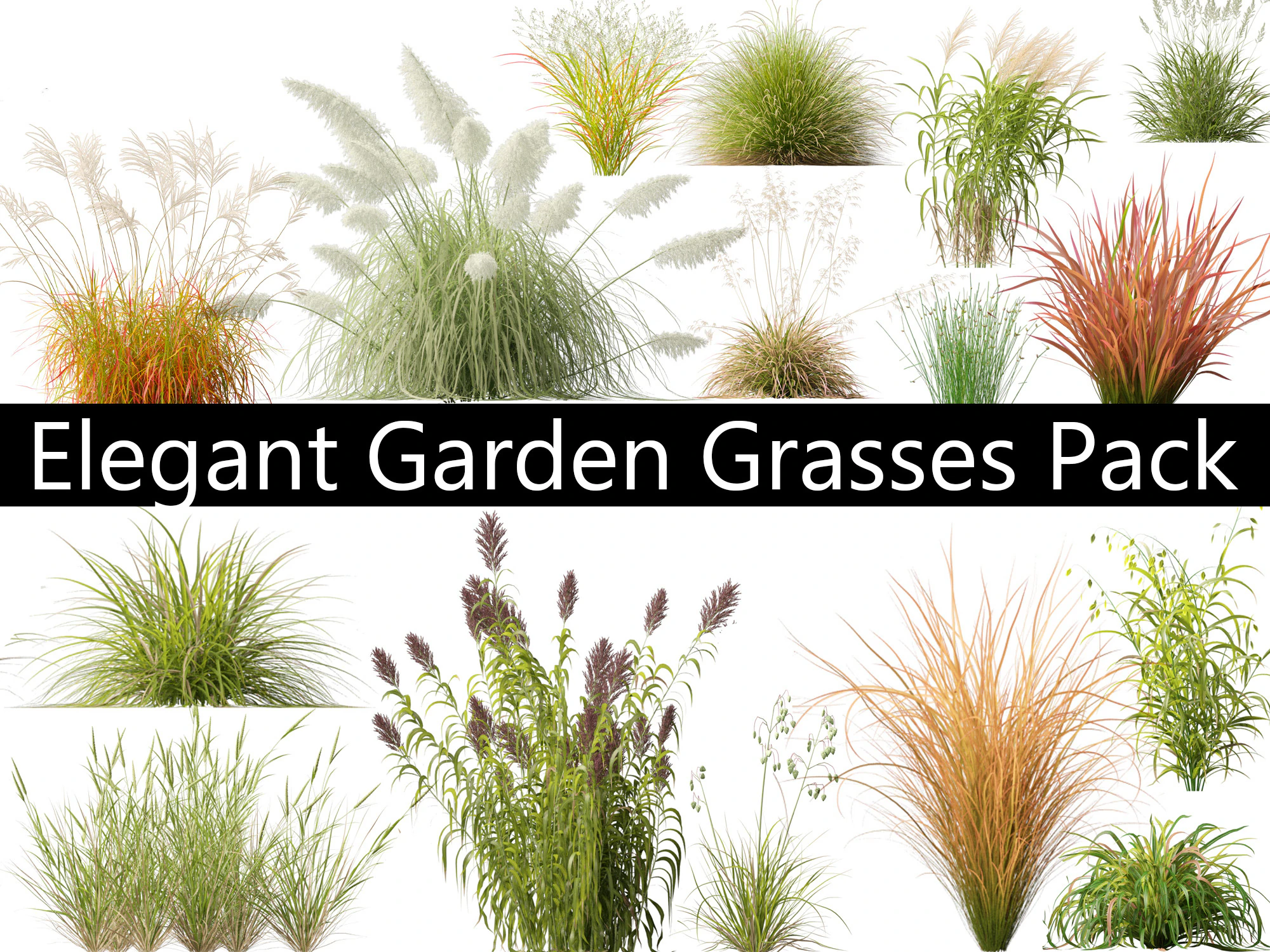 Elegant Garden Grasses Pack 38 3D Model .c4d .max .obj .3ds .fbx .stl .blend