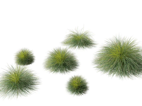 Elegant Garden Grasses Pack 38 3D Model