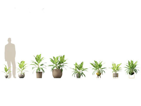 Decorative Indoor Plants Essentials 41 3D Model