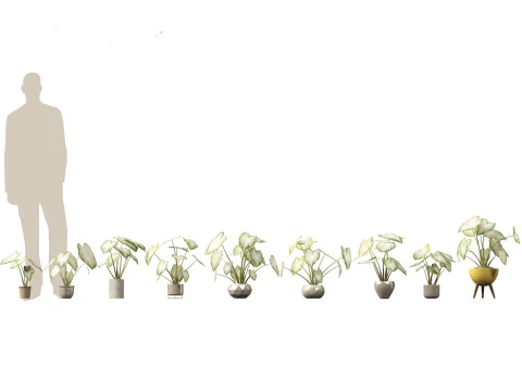 Decorative Indoor Plants Essentials 41 3D Model
