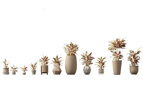 Decorative Indoor Plants Essentials 41 3D Model