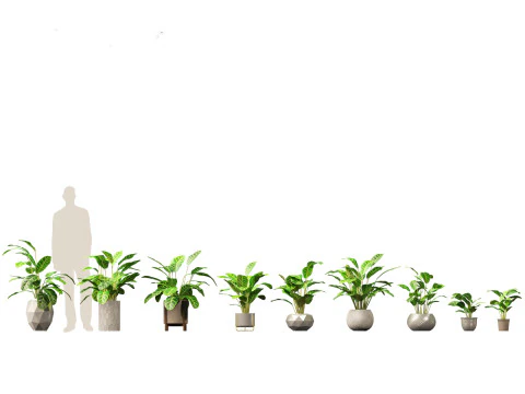 Decorative Indoor Plants Essentials 41 3D Model
