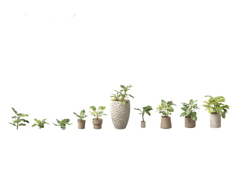 Decorative Indoor Plants Essentials 41 3D Model