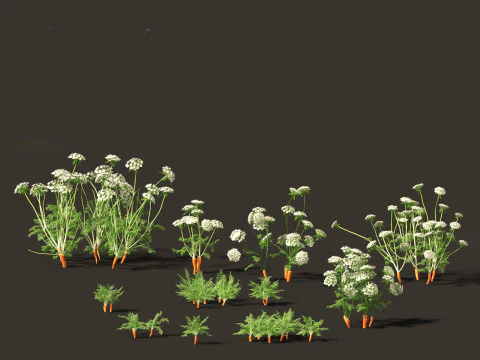 Edible Garden Plants Pack 28 3D Model