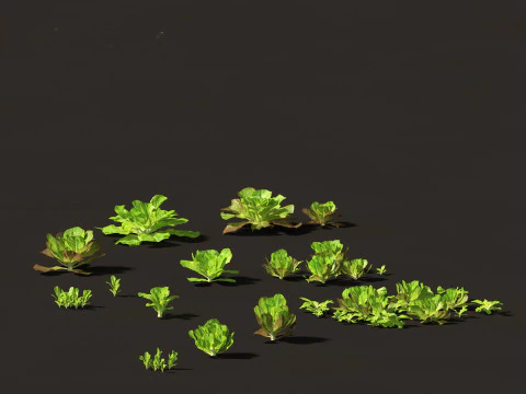Edible Garden Plants Pack 28 3D Model