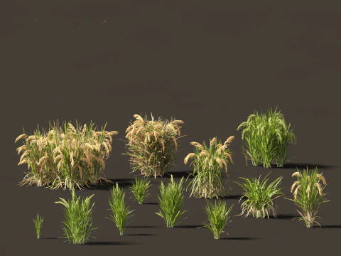 Edible Garden Plants Pack 28 3D Model