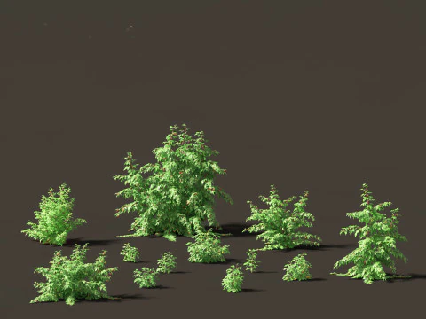 Edible Garden Plants Pack 28 3D Model