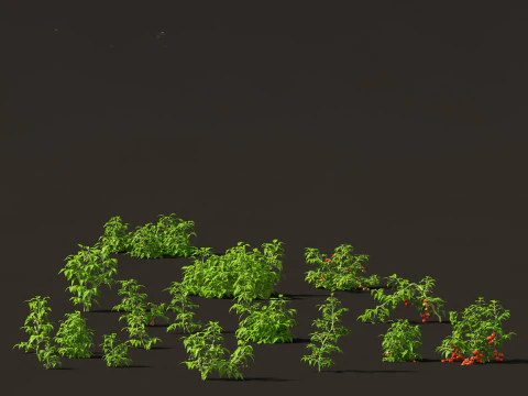 Edible Garden Plants Pack 28 3D Model