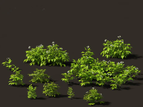 Edible Garden Plants Pack 28 3D Model