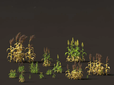 Edible Garden Plants Pack 28 3D Model