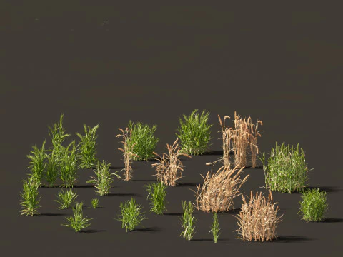 Edible Garden Plants Pack 28 3D Model