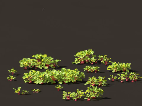 Edible Garden Plants Pack 28 3D Model