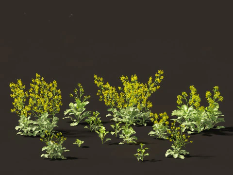 Edible Garden Plants Pack 28 3D Model