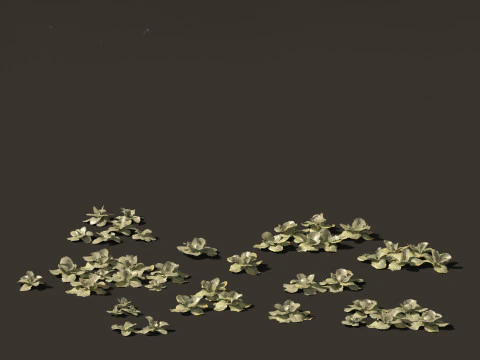 Edible Garden Plants Pack 28 3D Model