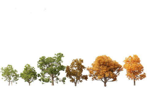 Pacote Europeu de &Aacute;rvores de Folha Larga 17 Modelo 3D