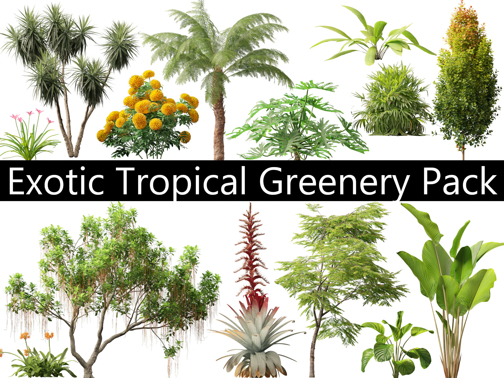 Exotic Tropical Greenery Pack 36 3D Model .c4d .max .obj .3ds .fbx .stl .blend