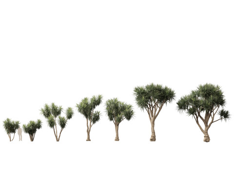 Pacchetto vegetazione tropicale esotica 36 Modello 3D