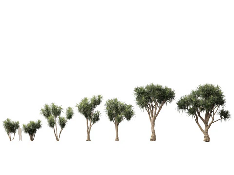 Exotic Tropical Greenery Pack 36 3D Model