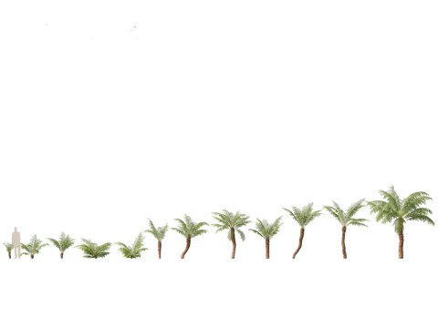 Pacchetto vegetazione tropicale esotica 36 Modello 3D