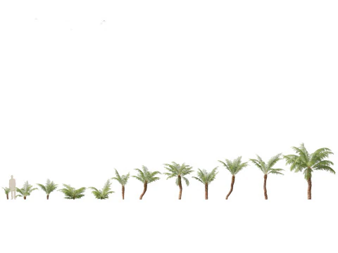 Exotic Tropical Greenery Pack 36 3D Model