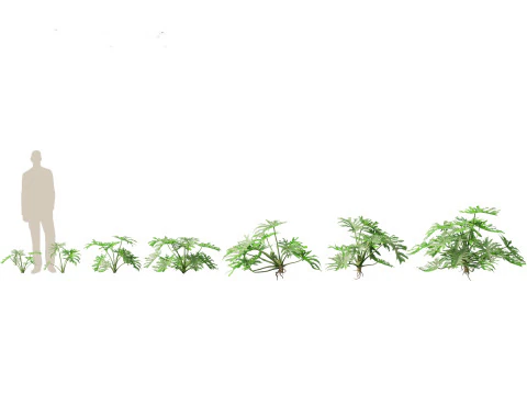 Exotic Tropical Greenery Pack 36 3D Model