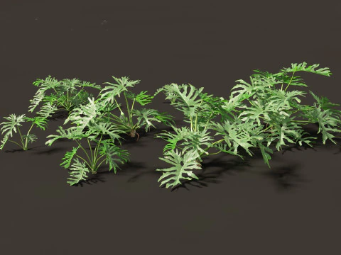 Exotic Tropical Greenery Pack 36 3D Model