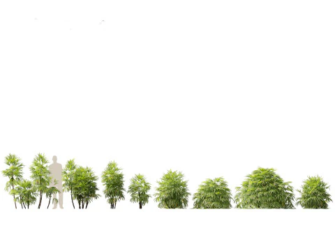 Exotic Tropical Greenery Pack 36 3D Model