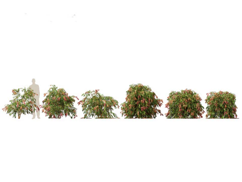 Exotic Tropical Greenery Pack 36 3D Model