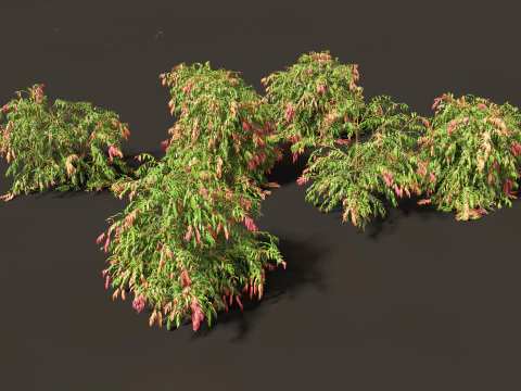 Exotic Tropical Greenery Pack 36 3D Model