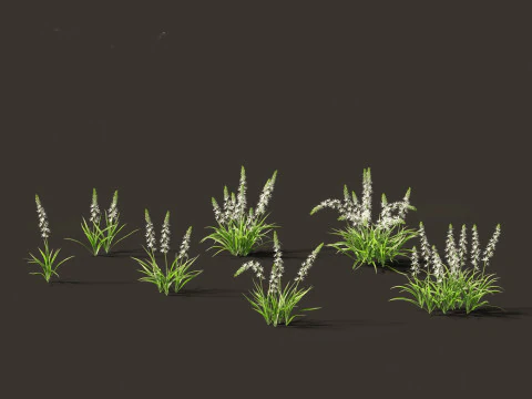 Flowering Perennials Herbs Pack 42 3D Model