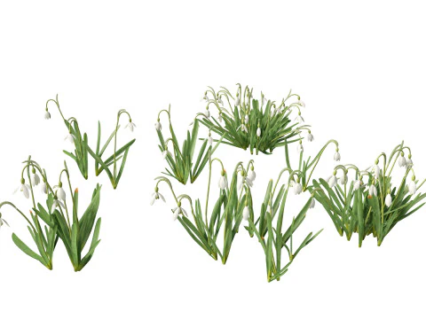 Flowering Perennials Herbs Pack 42 3D Model