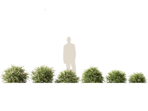 Pacote de arbustos floridos para jardim 47 Modelo 3D