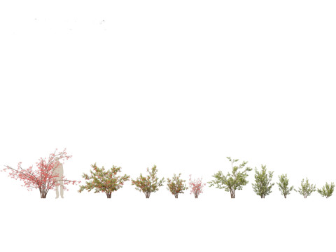 Pacote de arbustos floridos para jardim 47 Modelo 3D