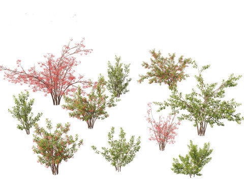 Pacote de arbustos floridos para jardim 47 Modelo 3D